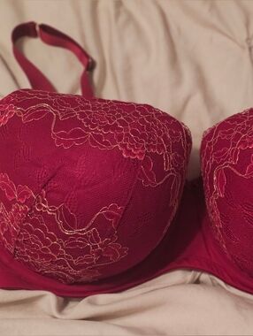 Women’s Lace Underwire Bra in Deep Wine Red